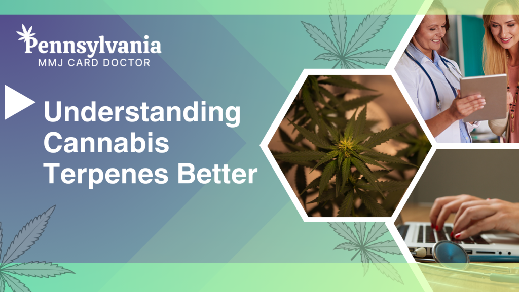 Understanding Cannabis Terpenes Better