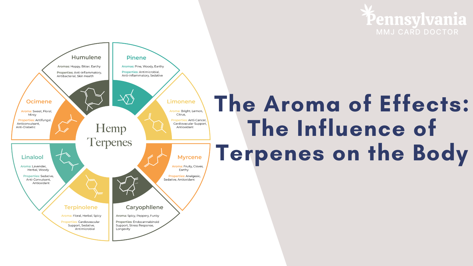 The Aroma of Effects The Influence of Terpenes on the Body