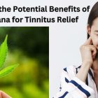 Tinnitus Relief